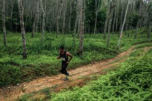 BIB: 
                            <button type="button" onclick="openModal(26339293)" class="btn btn-primary btn-sm float-right btn-popup" data-toggle="modal" data-target=".modal-high-quality">
                        <i class="fas fa-shopping-cart"></i> Add to Cart
                    </button>
                                            <button type="button" onclick="isThisMe(26339293, true)" class="btn btn-success btn-sm float-right btn-popup btn-isme hidden" data-toggle="tooltip" data-placement="bottom" title="นี่คือรูปของคุณใช่ไหม คลิกที่นี่เพื่อเอาเข้าอัลบั้ม">
                        <i class="fas fa-plus"></i> Add to album
                    </button>
                    <button type="button" onclick="isThisMe(26339293, false)" class="btn btn-warning btn-sm float-right btn-popup btn-isnotme hidden">
                        <i class="fas fa-ban"></i> Remove from album
                    </button>